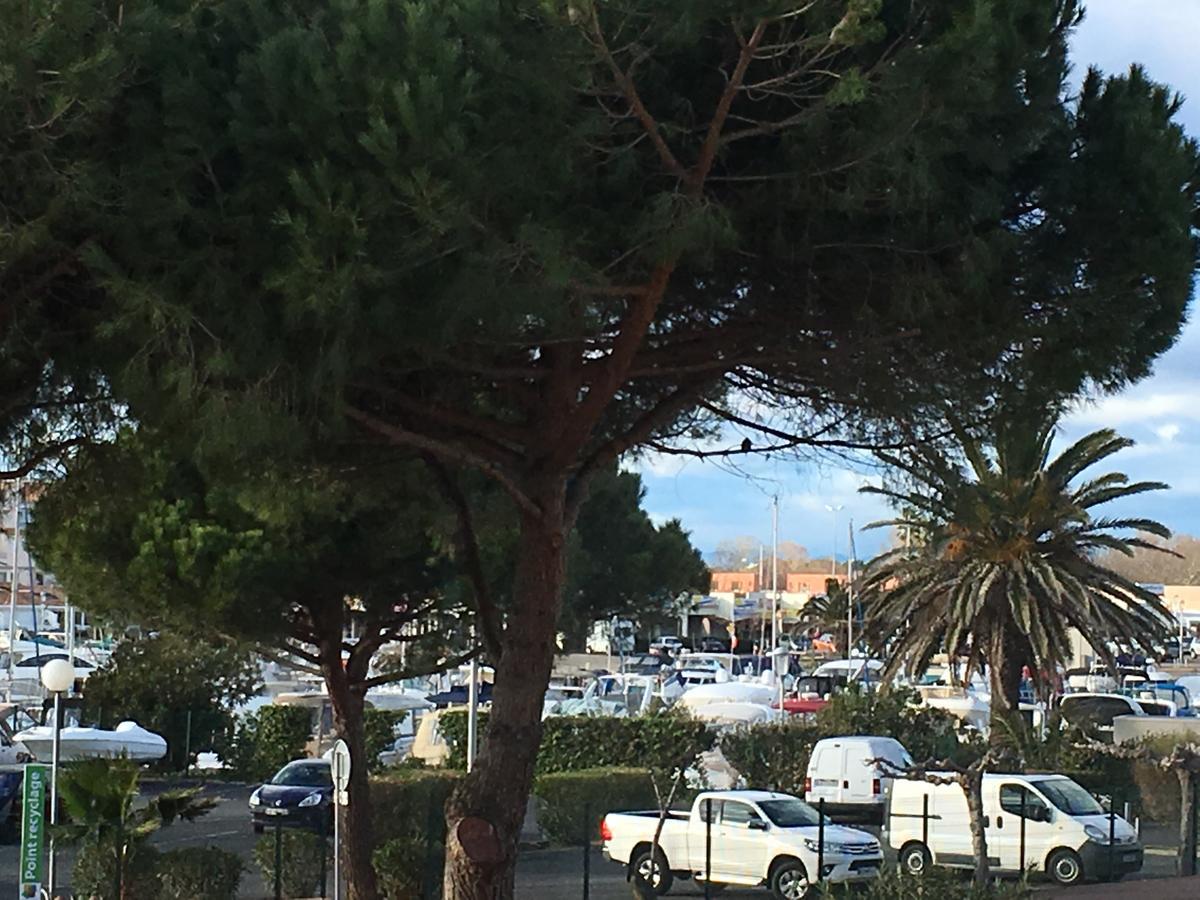 Au Coeur Du Village Naturiste Agde Esterno foto